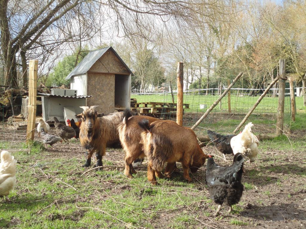 Les 2 Madeleine Bed & Breakfast Saint-Saturnin-du-Bois Exterior photo